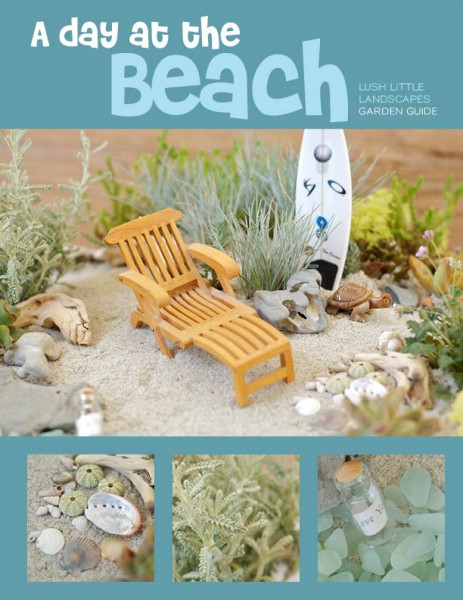 A Day at the Beach Miniature Garden Project Guide | Lush Little Landscapes