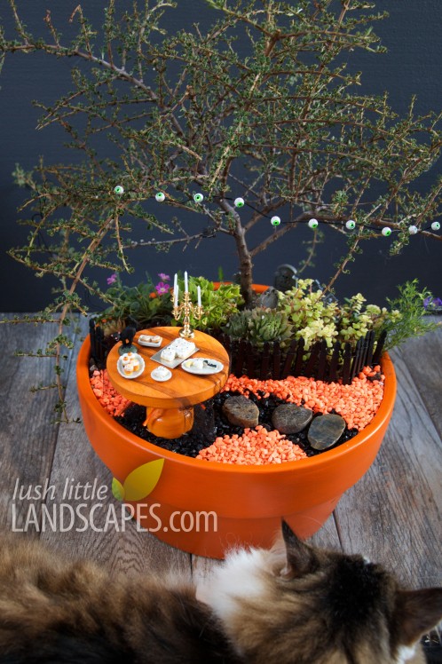 Halloween Miniature Fairy Garden at Lush Little Landscapes - Miniature Food, Spooky Lights and glowing effects, pumpkin patch and mini pumpkin carving with cat for scale